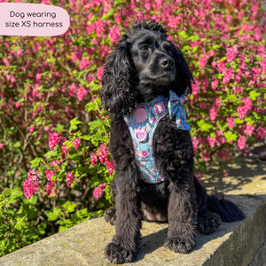Tough Trails™ Harness -  Whimsical Wildflowers