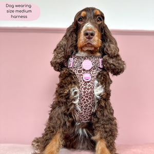 Tough Trails™ Harness -  Leopard Print
