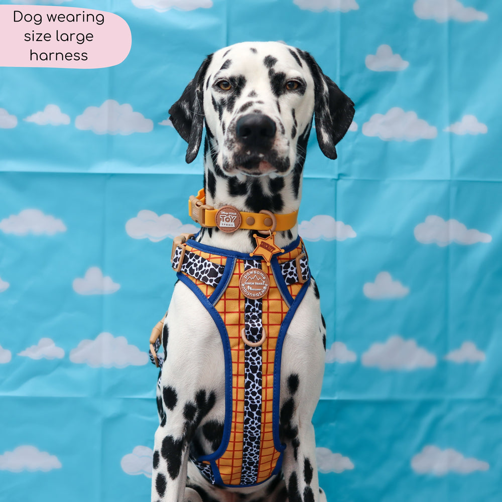 Disney© Tough Trails™ Harness - Woody