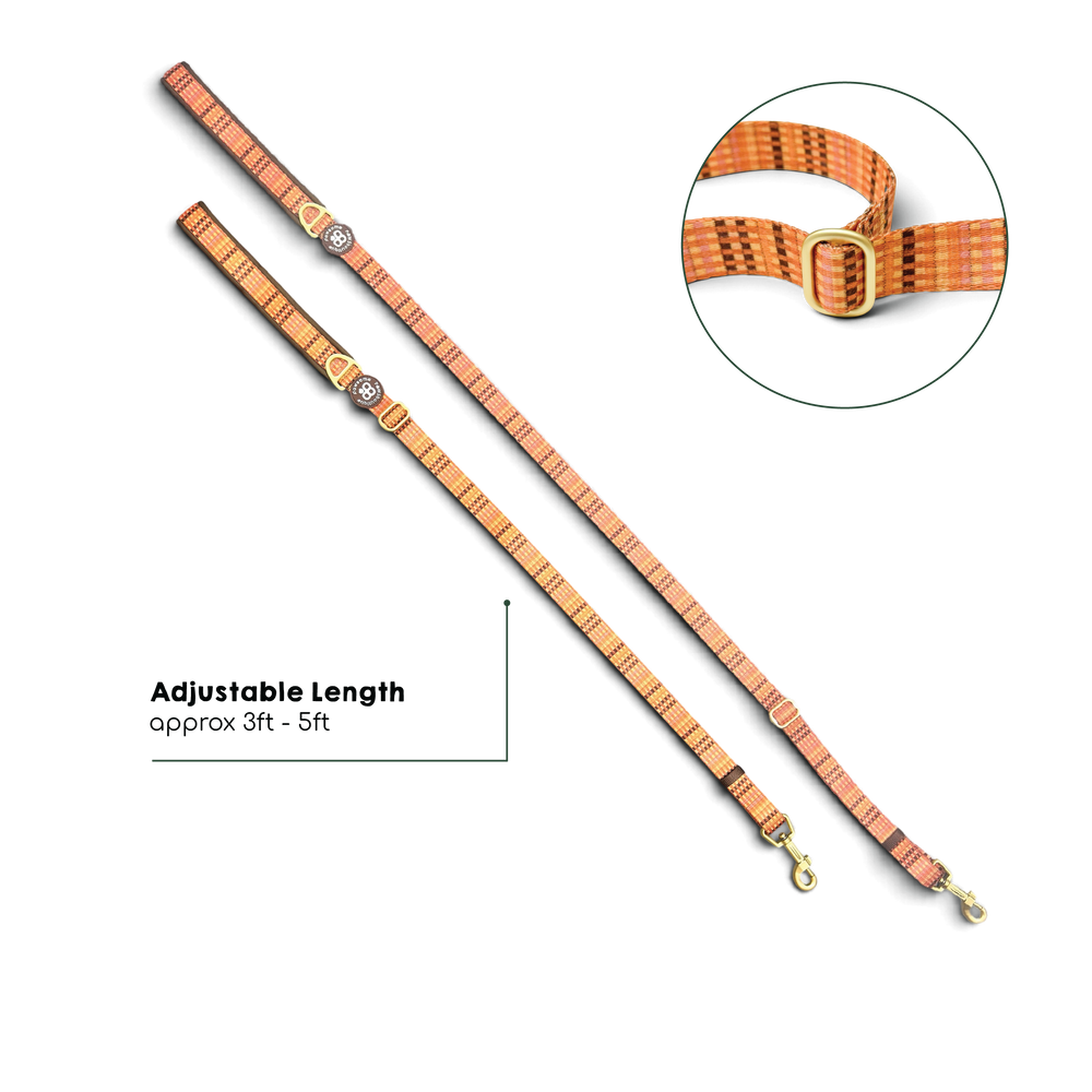AdjustFit Lead - Golden Acre