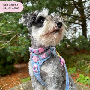 Disney© Collar - Mad Hatters Tea Party