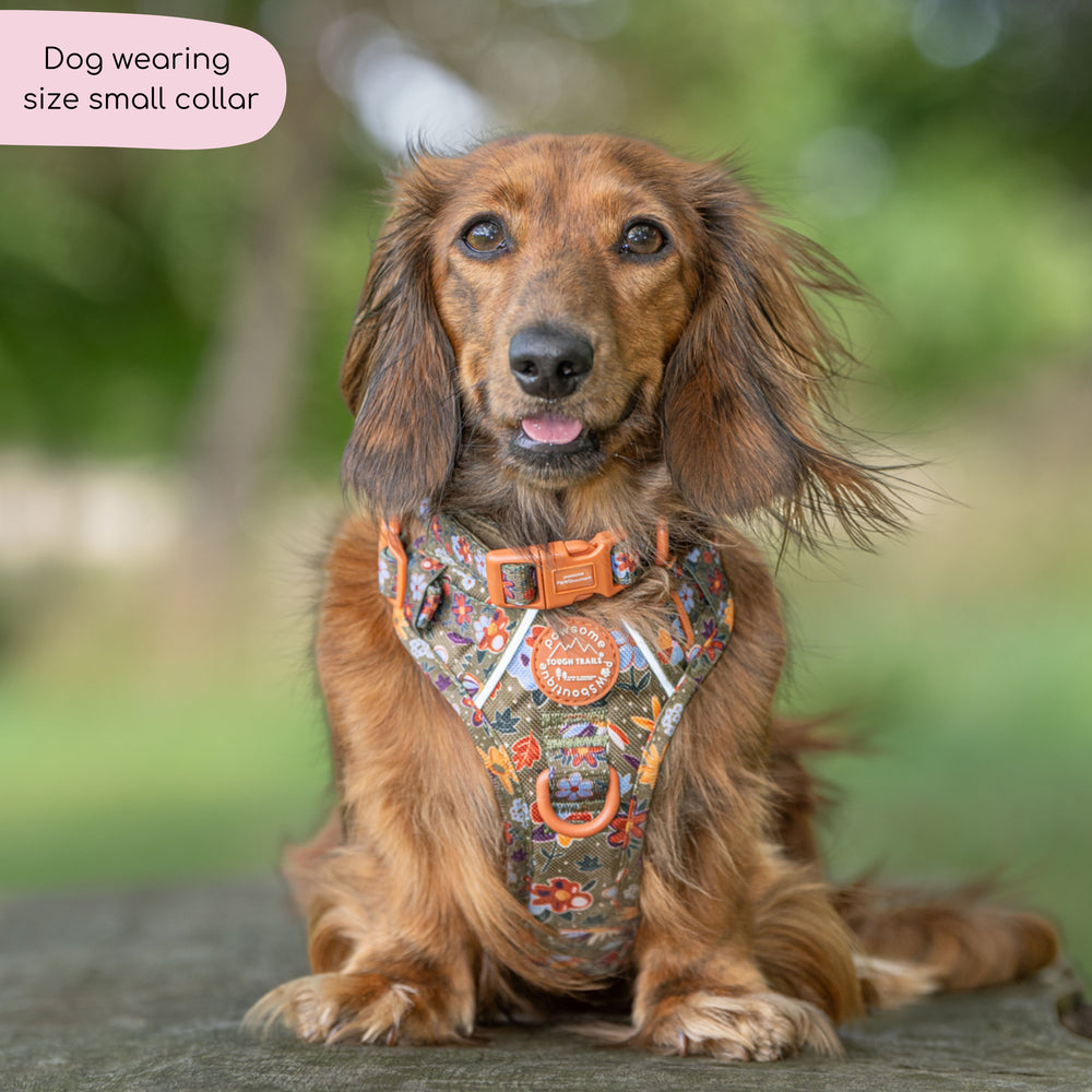 Collar - Rust & Bloom