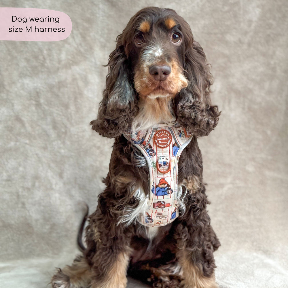 Paddington™ Tough Trails™ Harness - Peckish Paddington