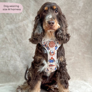 Paddington™ Tough Trails™ Harness - Peckish Paddington