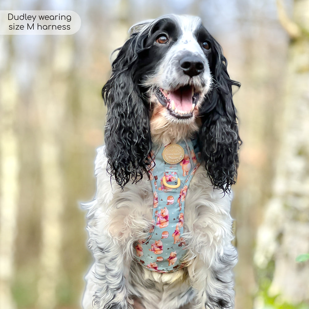 Disney© Tough Trails™ Harness - Winnie The Pooh