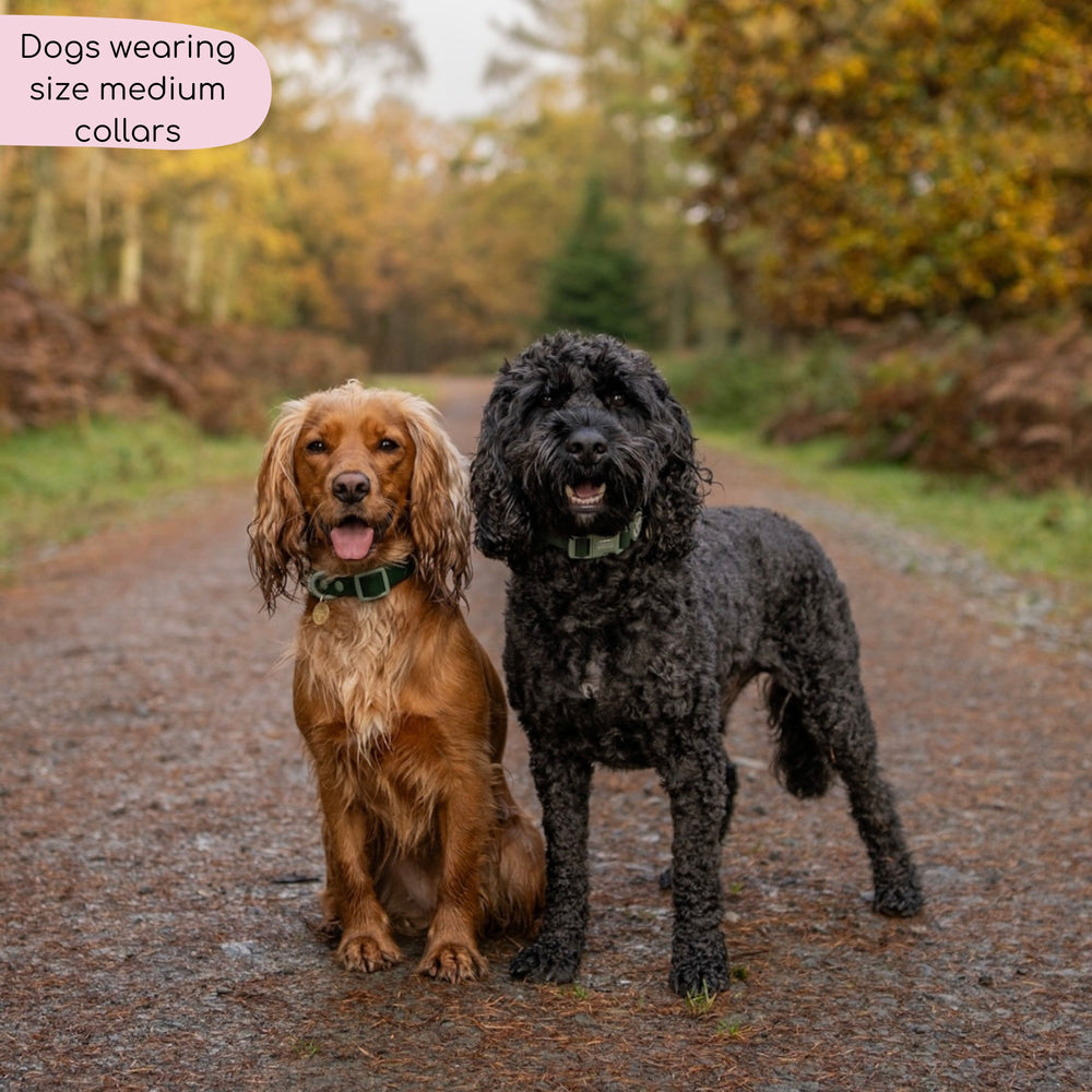 Waterproof Collar - Walkies Ready® Forest Green