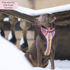 Disney© Tough Trails™ Harness - Buzz Lightyear