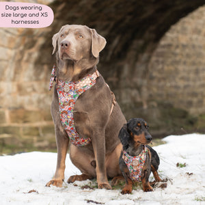 Disney© Tough Trails™ Harness - Toy Story Friends