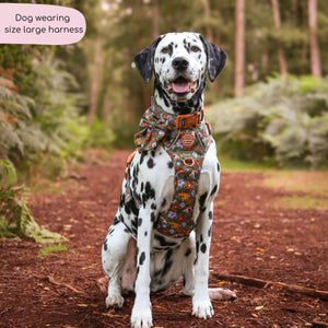 Tough Trails™ Harness - Rust & Bloom