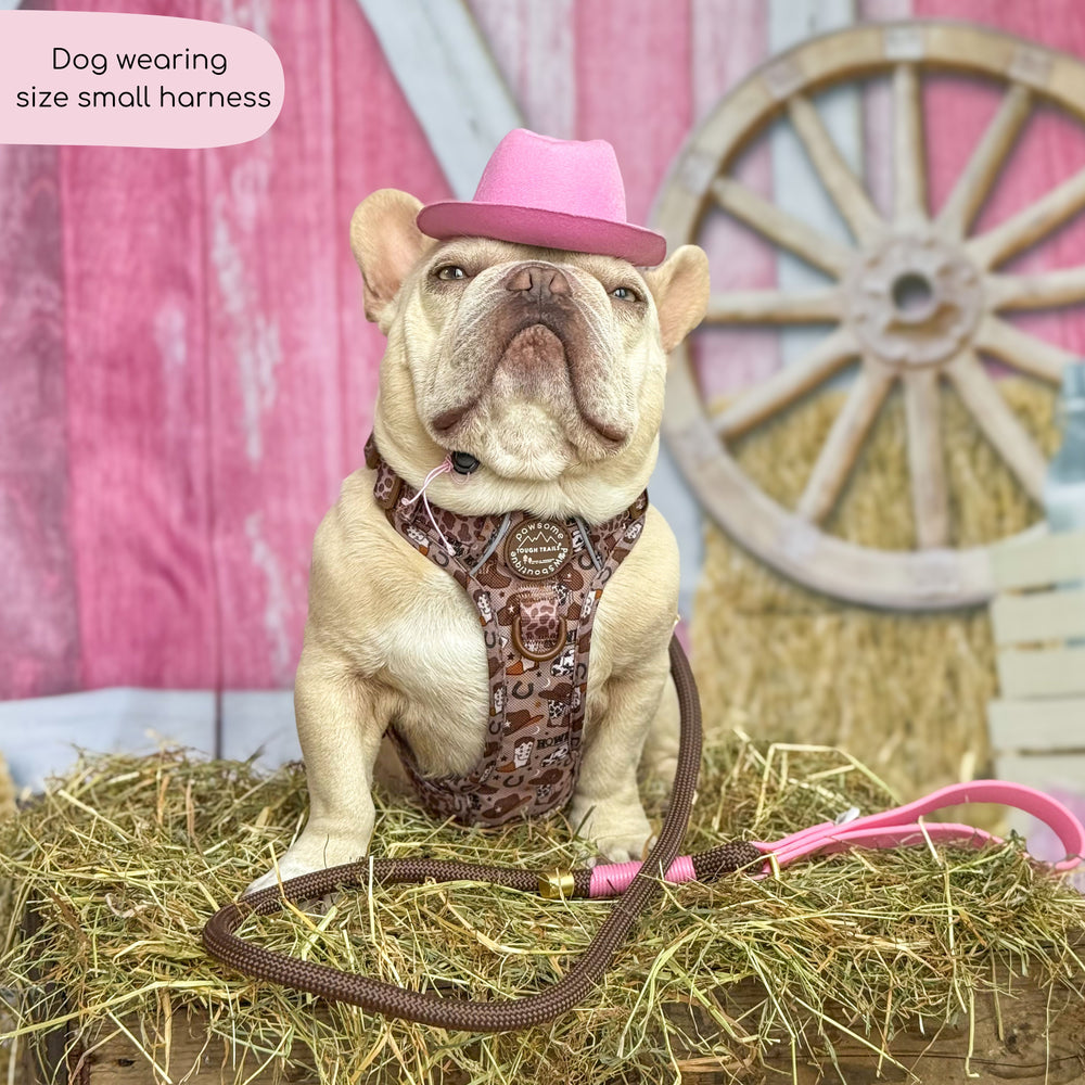 Tough Trails™ Harness -  Cowboy