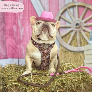 Tough Trails™ Harness -  Cowboy