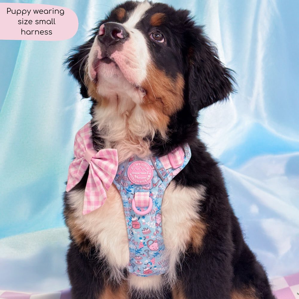 Disney© Tough Trails™ Harness - Mad Hatters Tea Party