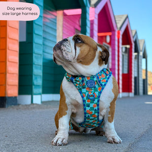 Tough Trails™ Harness -  Fruit Punch