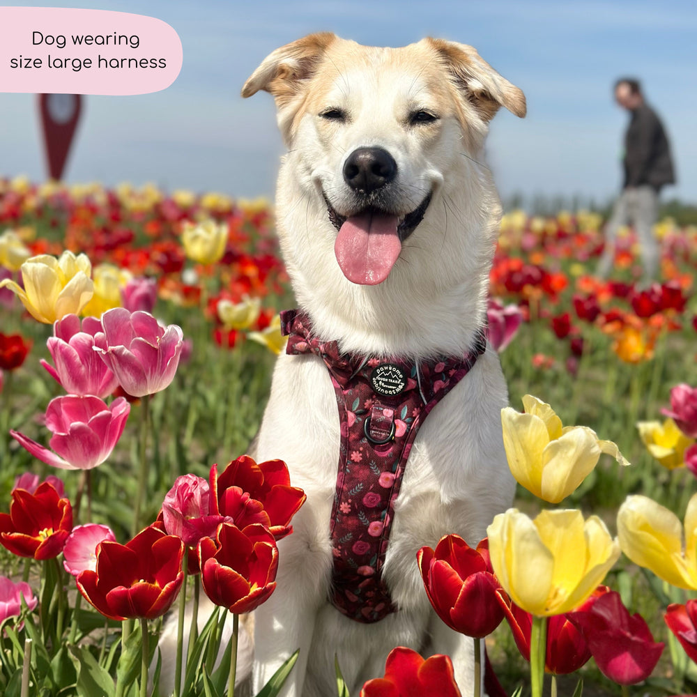 Tough Trails™ Harness - Mable's Meadow