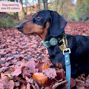 Waterproof Collar - Walkies Ready® Forest Green