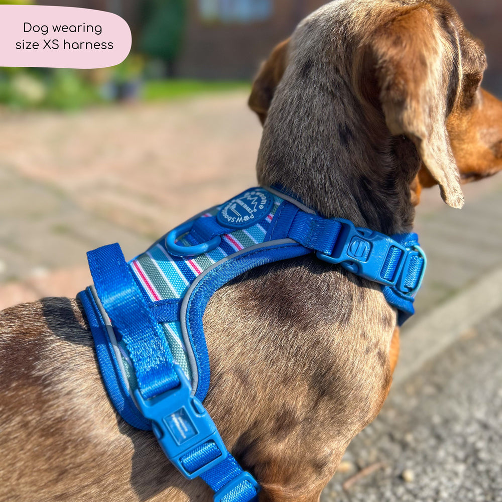 Tough Trails™ Harness -  Sailor Stripes