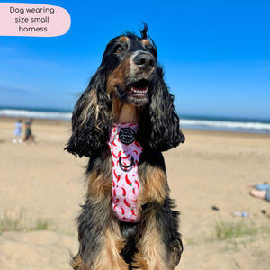 Tough Trails™ Harness - Chilli Dog
