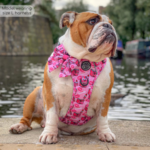 Tough Trails™ Harness - Mean Girls