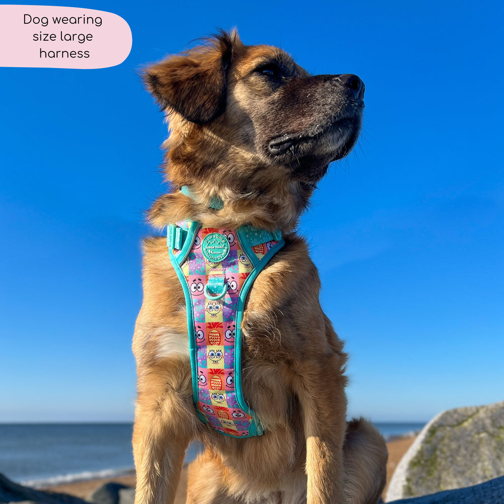 Tough Trails™ Harness - Spongebob