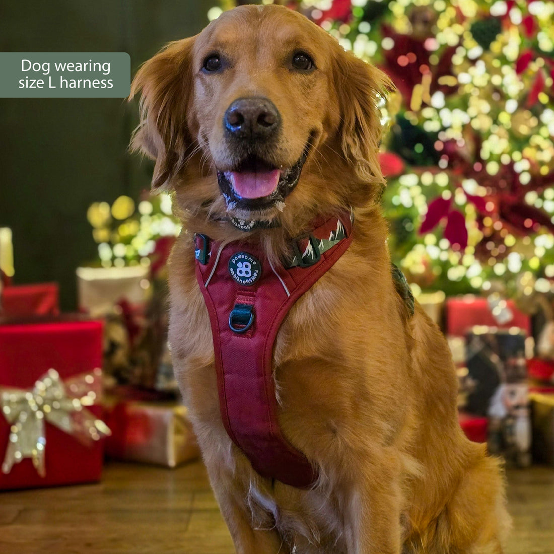 Tough Trails™ Harness - Walkies Ready® Snowy Mountains