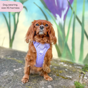 Tough Trails™ Harness - Walkies Ready® Lavender Lilac