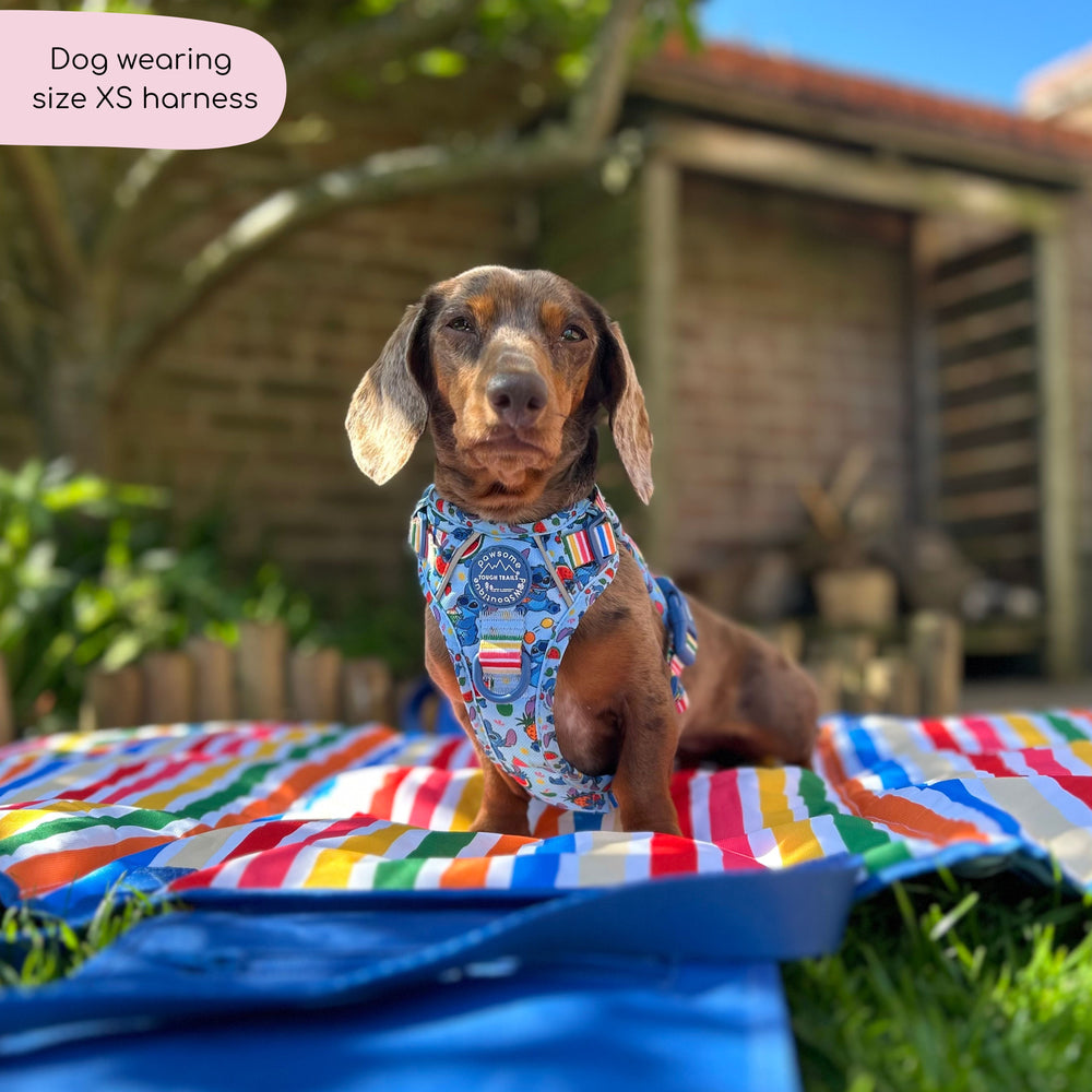 Disney© Tough Trails™ Harness - Stitch's Fruit Fiesta