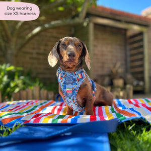 Disney© Tough Trails™ Harness - Stitch's Fruit Fiesta