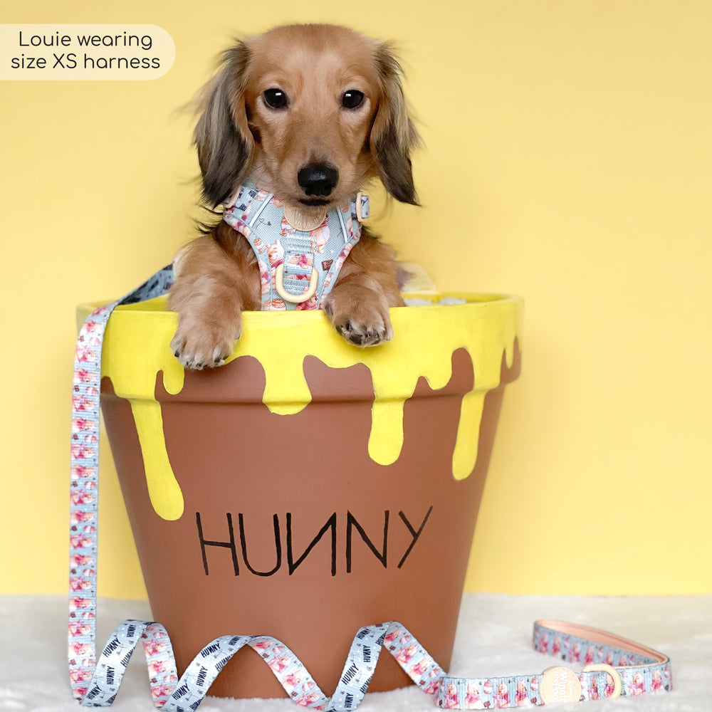 Disney© Tough Trails™ Harness - Winnie The Pooh