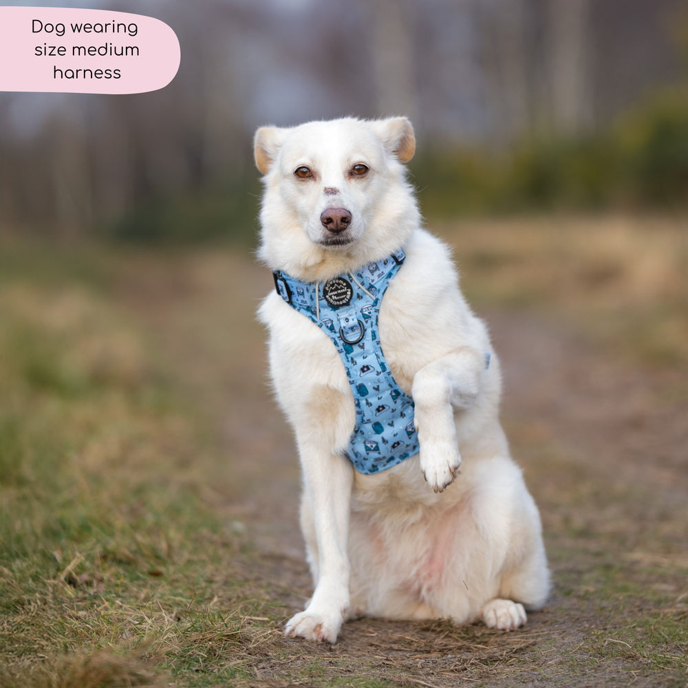 Tough Trails™ Harness - Reuben's Roadtrip