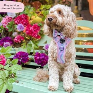 Tough Trails™ Harness - PPB Pastel Swirl