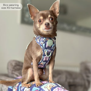 Disney© Tough Trails™ Harness -  Winnie + Friends