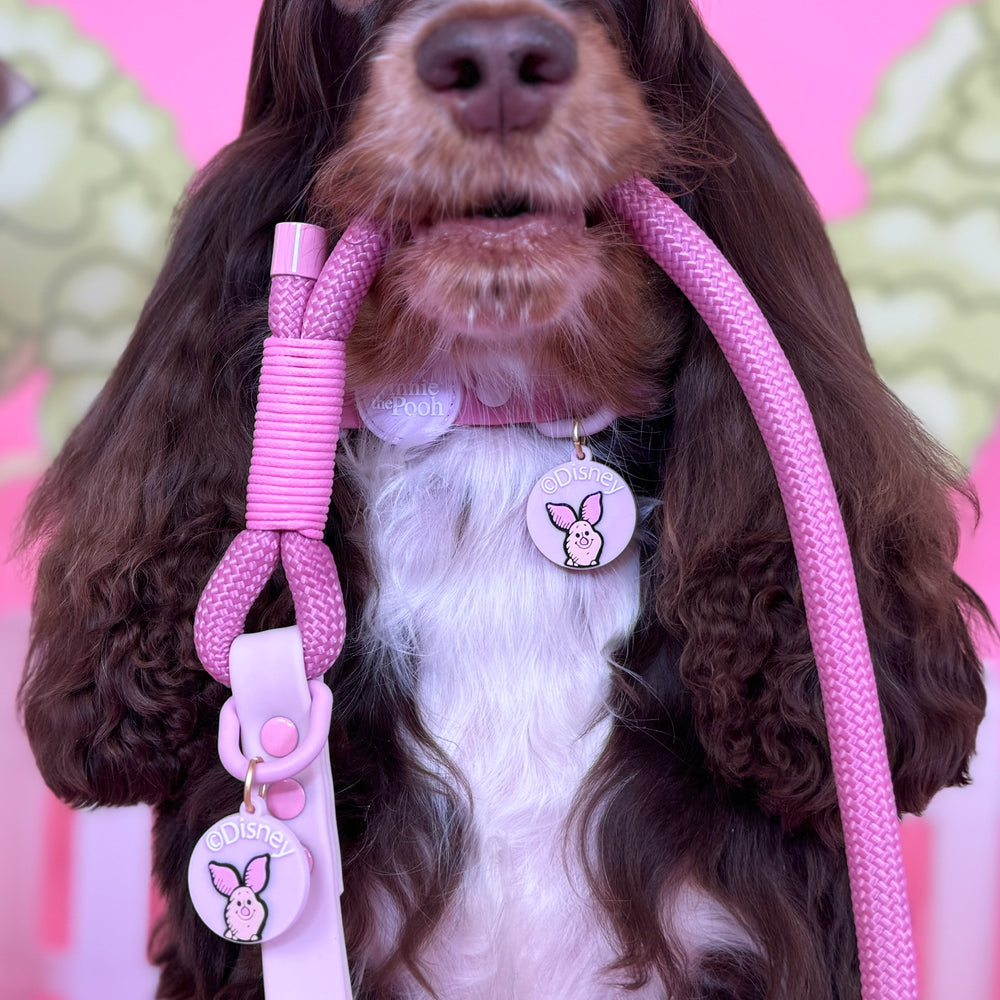 Disney© Collar/Lead Charm - Piglet