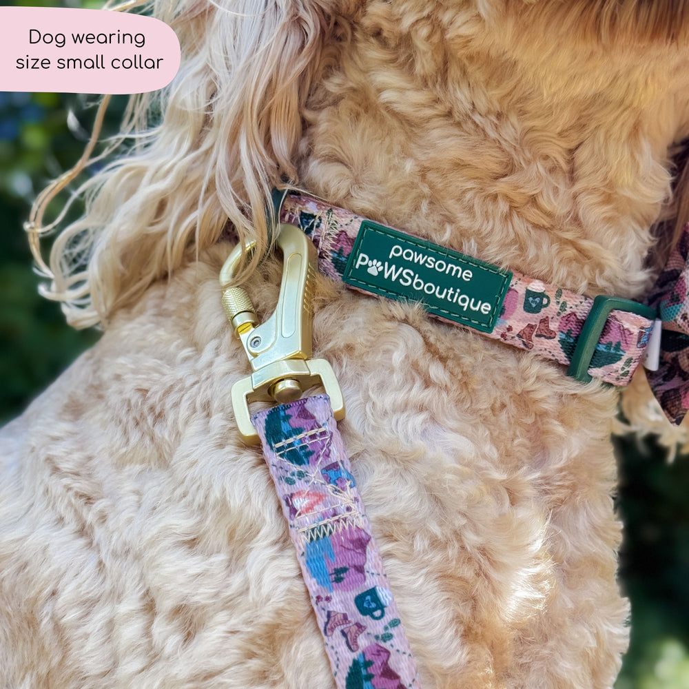 Collar - Adventure Awaits