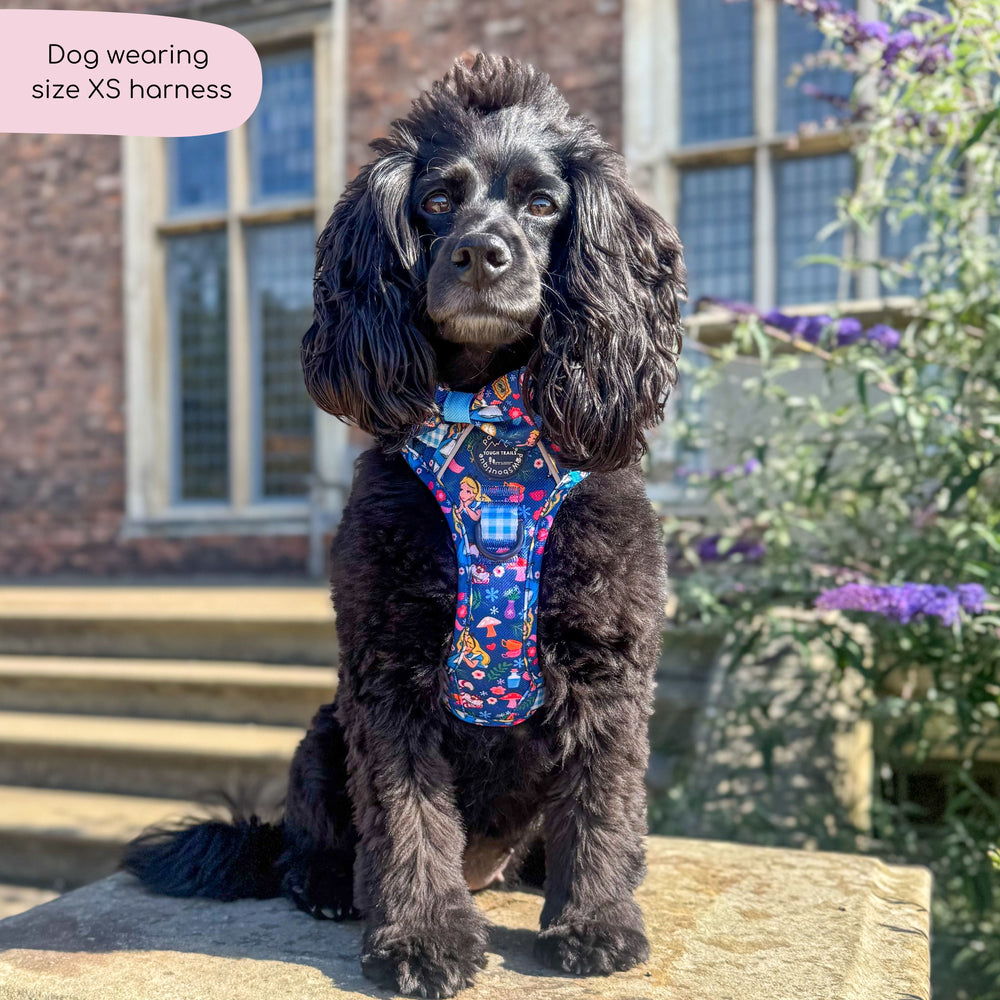 Disney© Tough Trails™ Harness - Alice In Wonderland