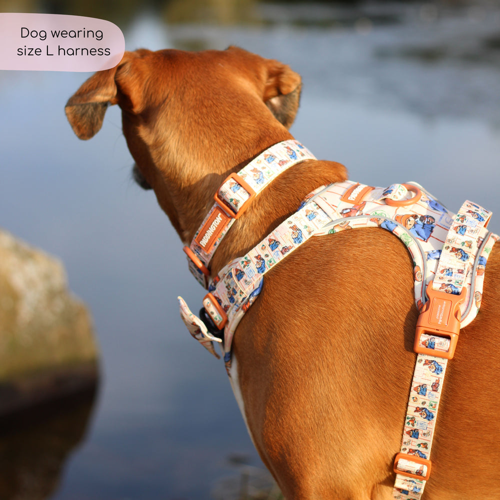 Paddington™ Tough Trails™ Harness - Peckish Paddington