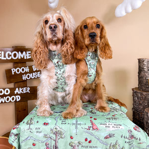 Disney© Dog Blanket - 100 Aker Wood