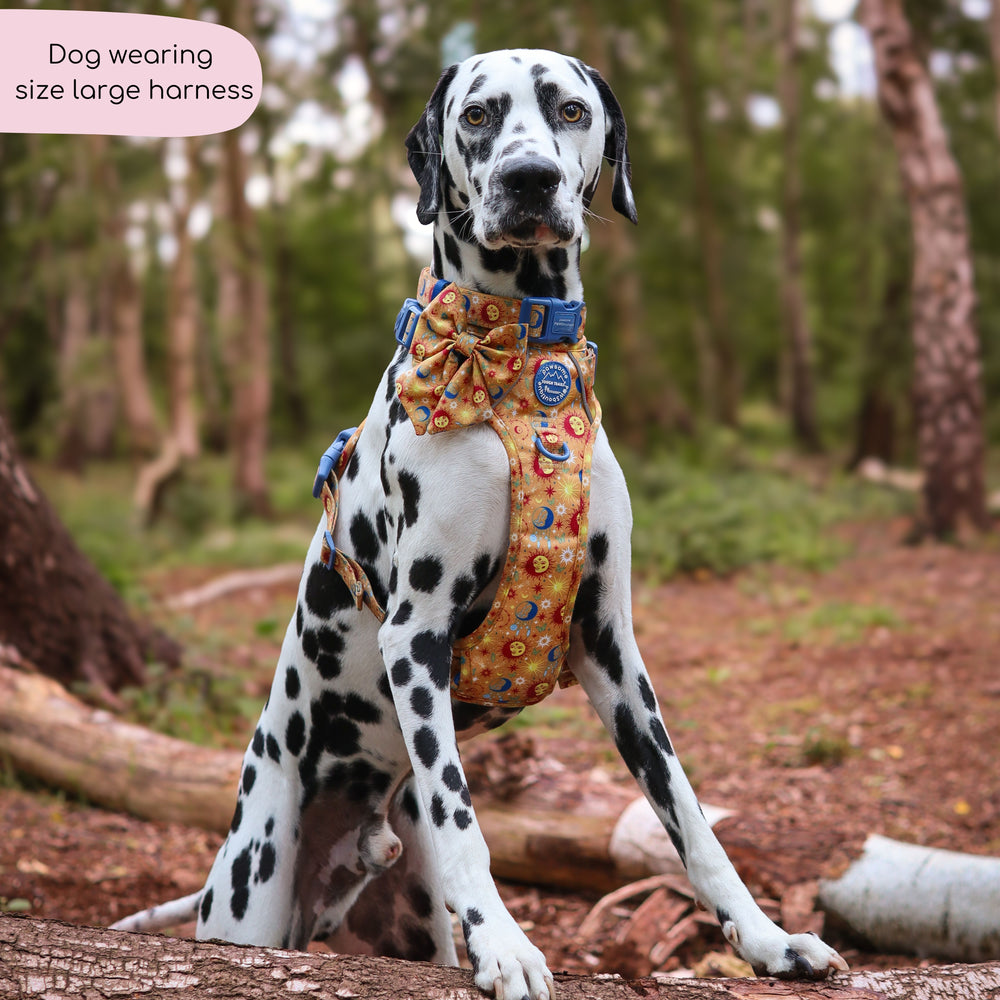 Tough Trails™ Harness - Celestial Spirit