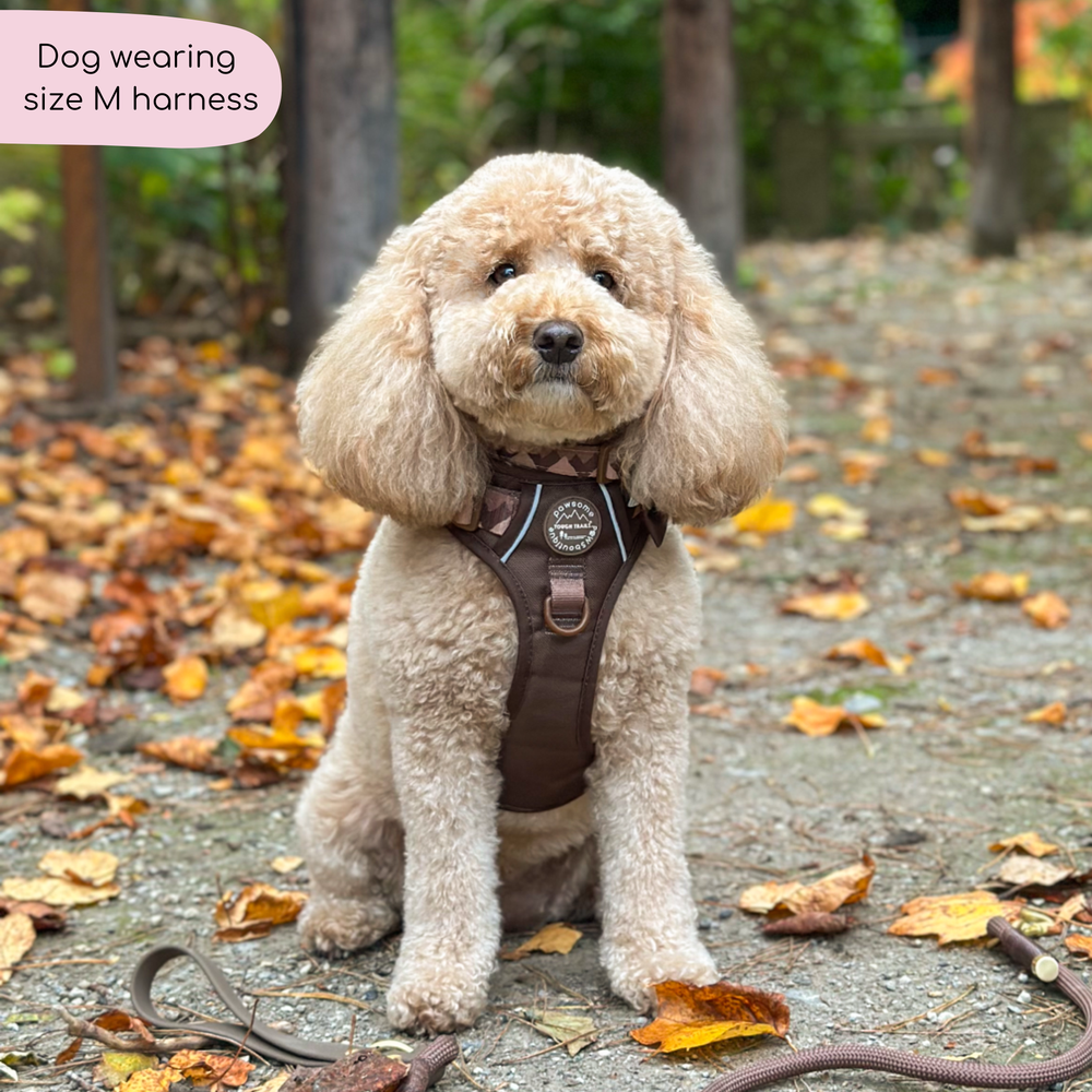 Tough Trails™ Harness - Walkies Ready® Chocolate Brown