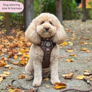 Tough Trails™ Harness - Walkies Ready® Chocolate Brown