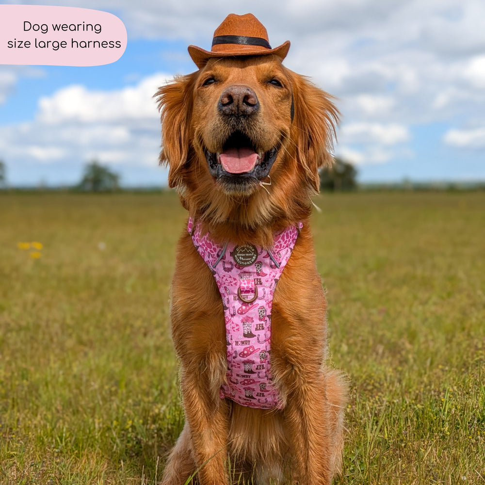 Tough Trails™ Harness -  Cowgirl