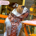 Collar - Cinnamon Spice