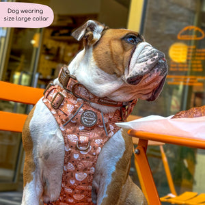 Collar - Cinnamon Spice