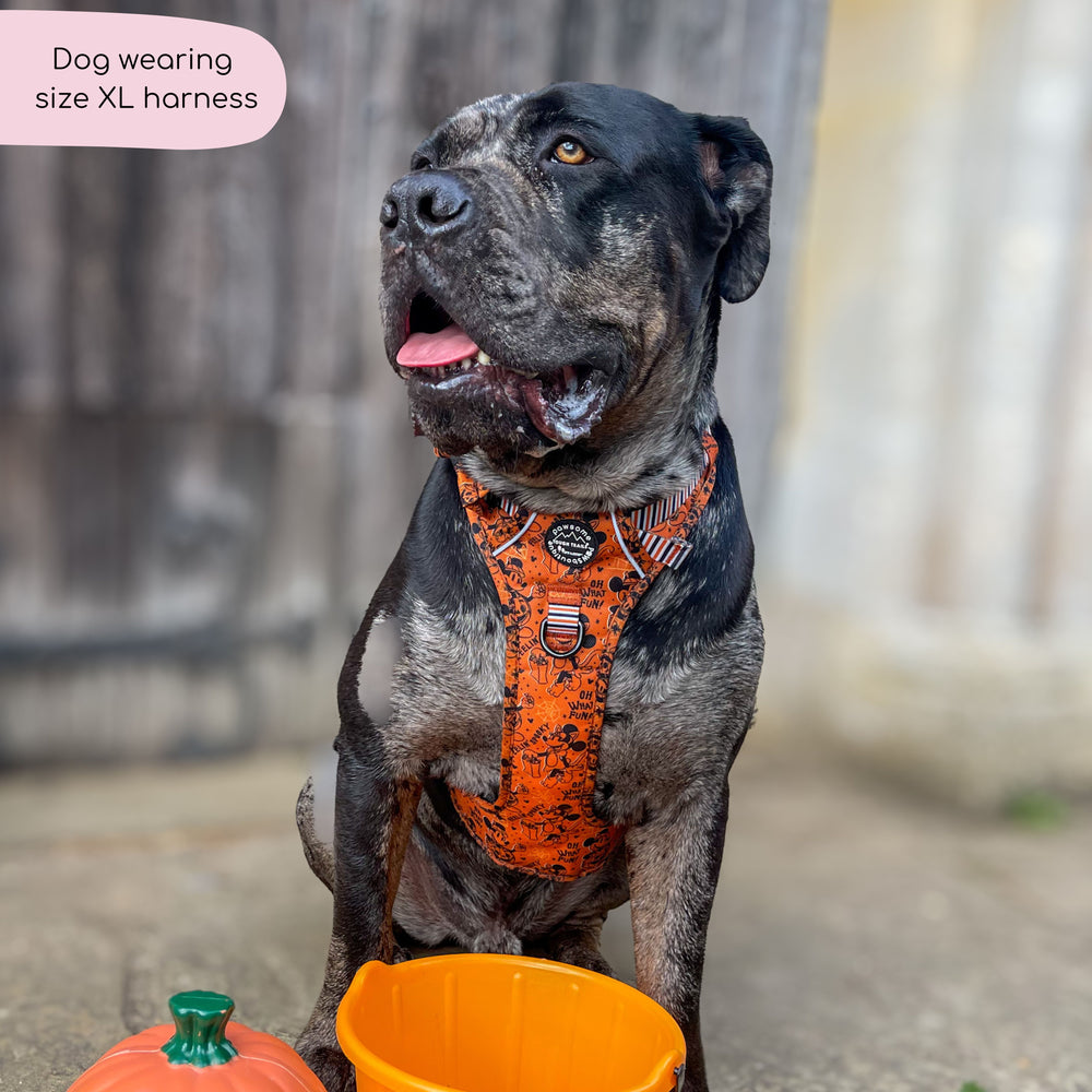 Disney© Tough Trails™ Harness - Halloween