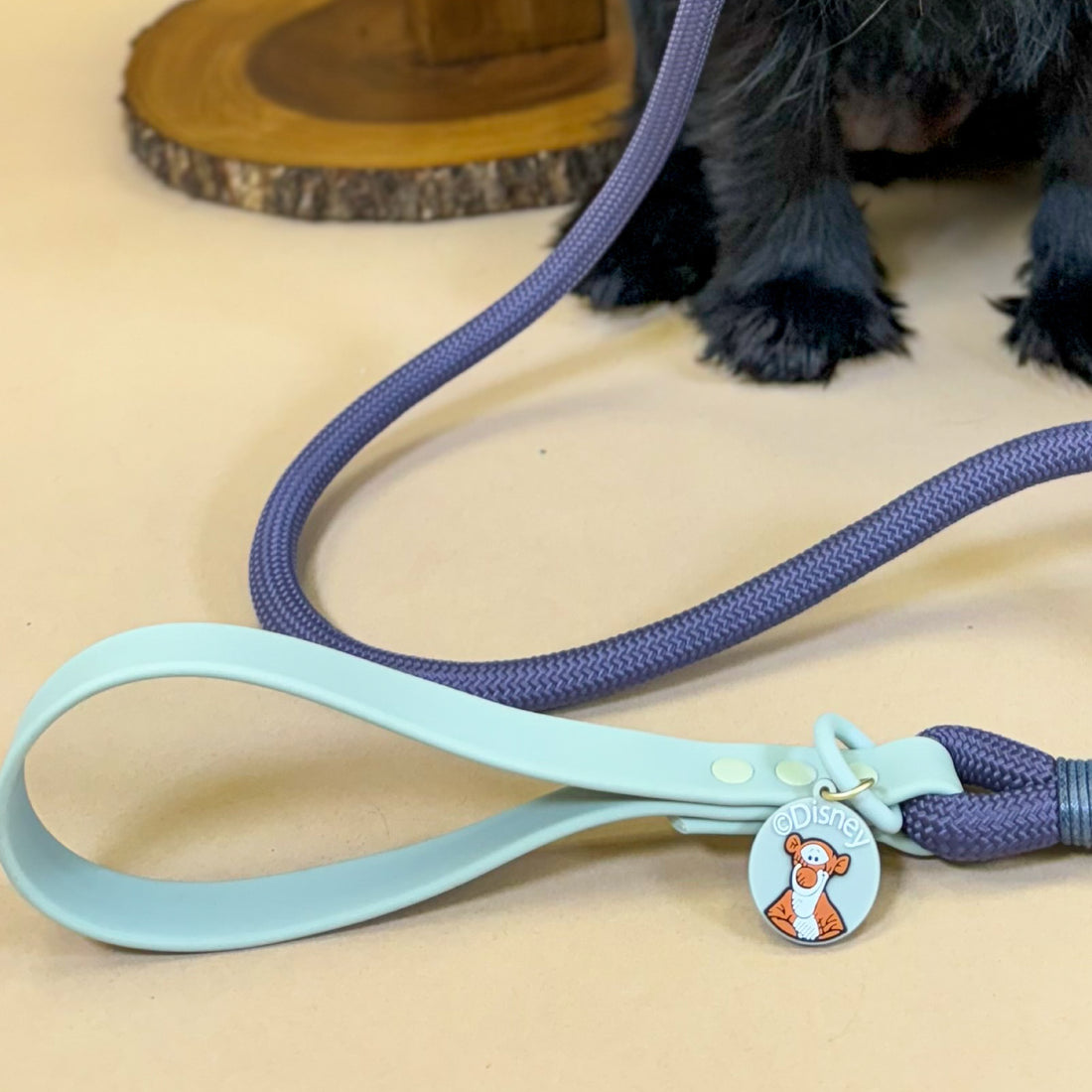 Disney© 4ft Rope Lead - Winnie + Friends - Sage and Blue
