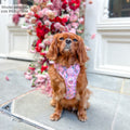 Disney© Tough Trails™ Harness - Nala