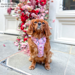 Disney© Tough Trails™ Harness - Nala