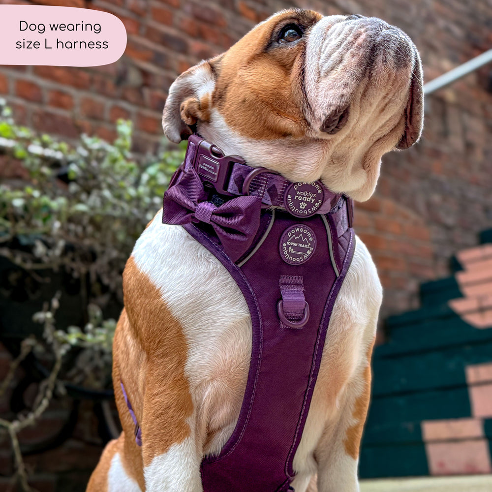 Tough Trails™ Harness - Walkies Ready® Plum