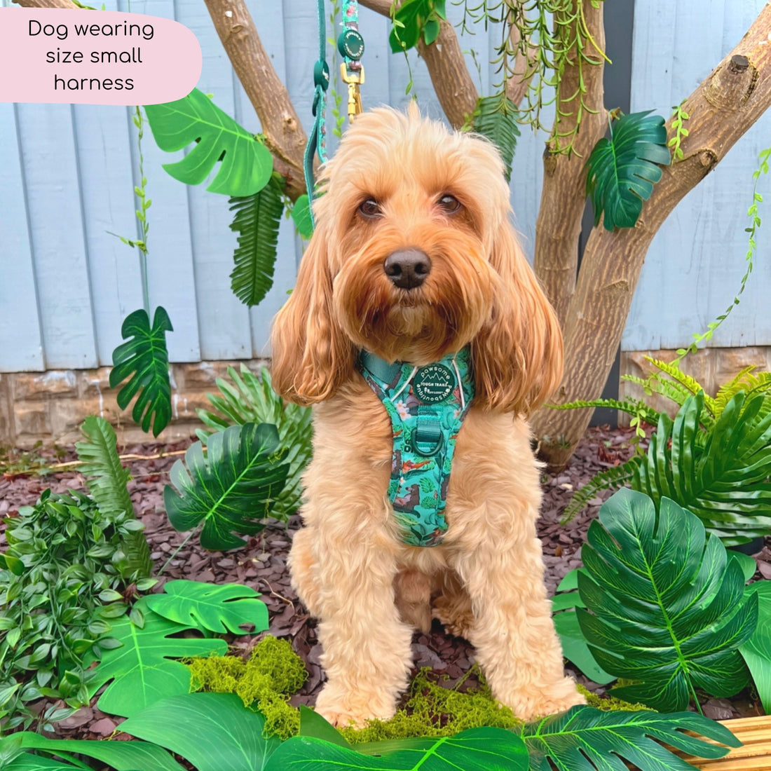 Disney© Tough Trails™ Harness - Jungle Book
