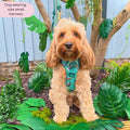 Disney© Tough Trails™ Harness - Jungle Book