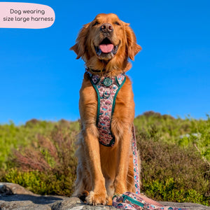 Tough Trails™ Harness -  Adventure Awaits